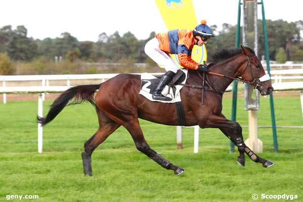 14/10/2024 - Fontainebleau - Prix Pierre Debroise : Arrivée