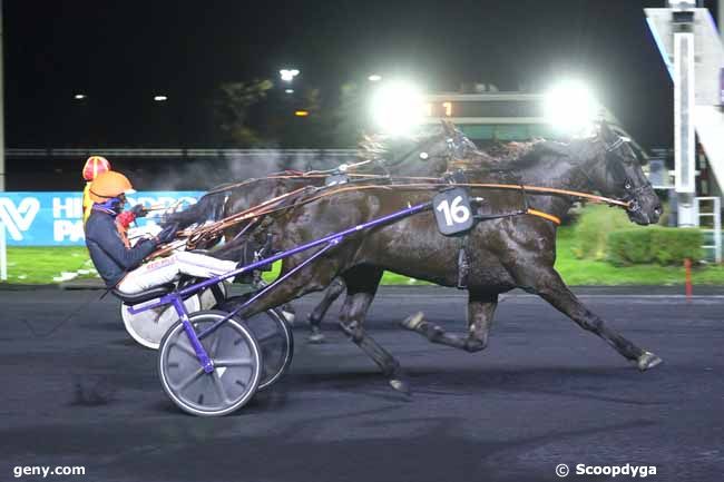 22/11/2024 - Vincennes - Prix Florentina : Ankunft