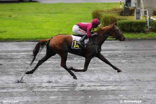 25/11/2024 - Vincennes - Prix de Santigny : Arrivée