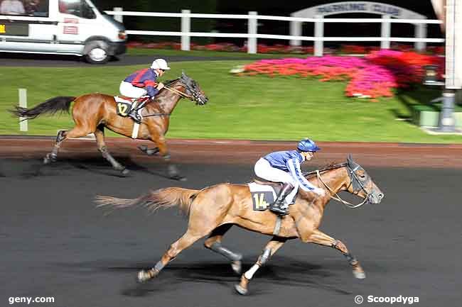 19/09/2008 - Vincennes - Prix Antiope : Arrivée