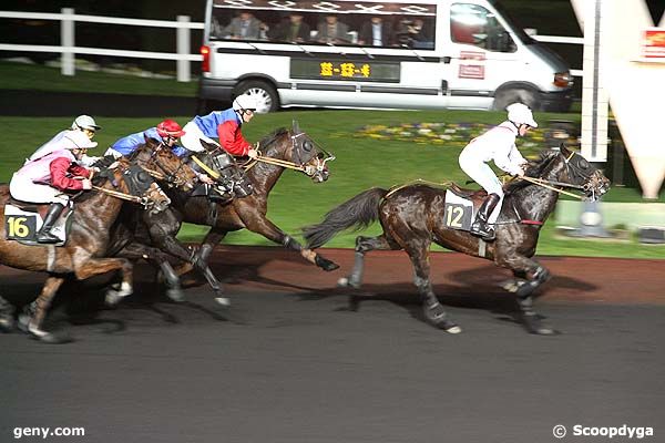 18/11/2008 - Vincennes - Prix Persephone : Arrivée