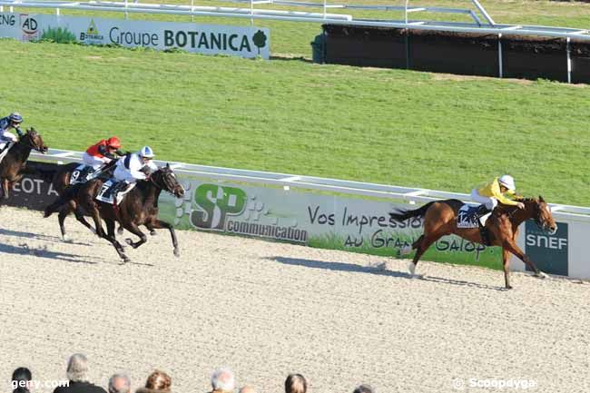 02/02/2011 - Cagnes-sur-Mer - Prix de Sormiou : Arrivée