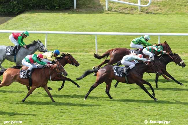 17/05/2012 - Lyon-Parilly - Prix Rinck : Ankunft