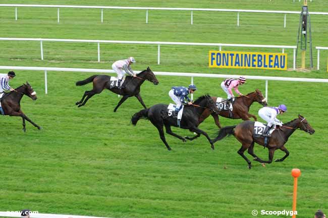 18/10/2012 - Fontainebleau - Prix Roland Fougedoire : Arrivée