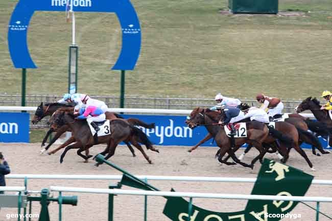 02/03/2013 - Chantilly - Prix de Balivière : Arrivée