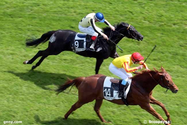 17/05/2013 - Chantilly - Prix de Ricquebourg : Arrivée