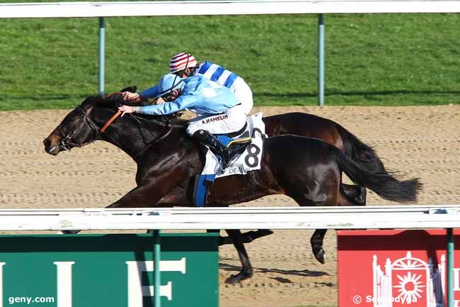 13/01/2014 - Deauville - Prix du Merlerault : Arrivée