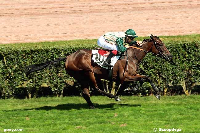 12/09/2014 - Enghien - Prix Roman Oak : Ankunft