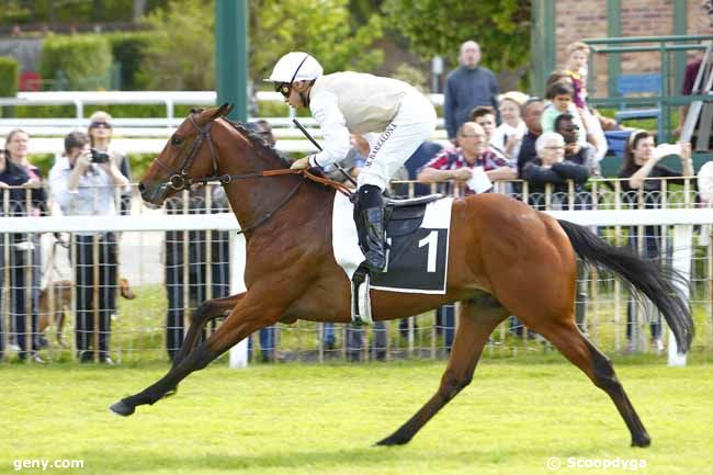 09/05/2015 - Fontainebleau - Prix des Fayards : Arrivée