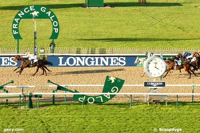 30/10/2015 - Chantilly - Prix de Champoleux : Ankunft