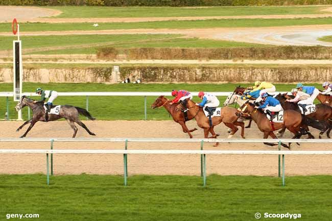 09/01/2016 - Deauville - Prix de Saint-Vaast-la-Hougue : Arrivée