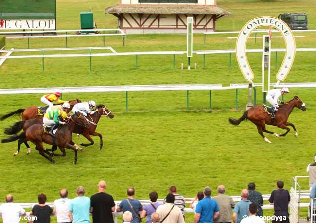 11/07/2016 - Compiègne - Prix de Blérancourt : Arrivée