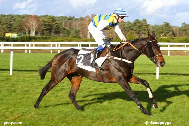 28/11/2017 - Fontainebleau - Grande Course de Haies de Fontainebleau : Ankunft