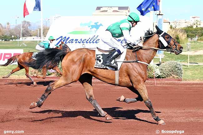 27/03/2019 - Marseille-Borély - Prix des Caves Saint-Marc de Caromb : Arrivée