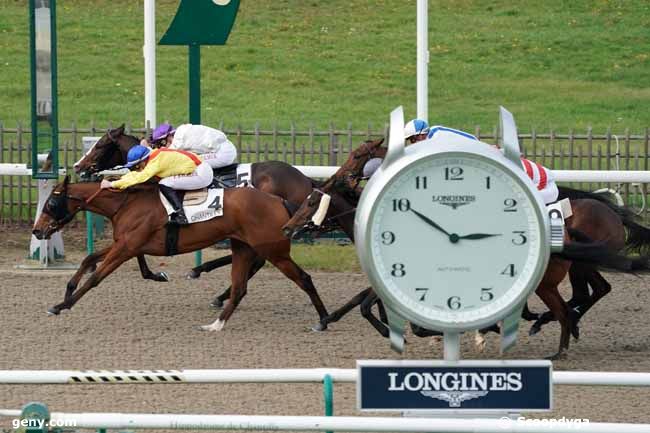 06/11/2019 - Chantilly - Prix de la Bergerie : Arrivée