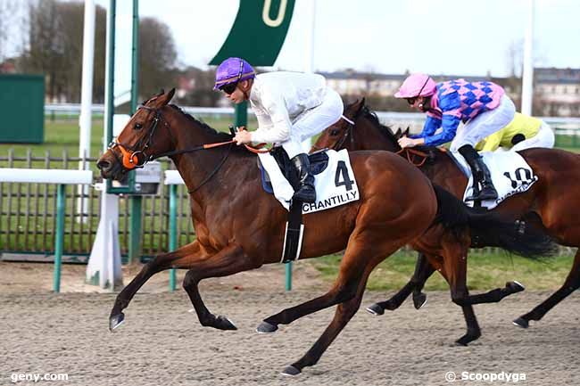 13/03/2020 - Chantilly - Prix Talweg : Arrivée