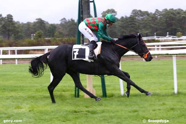 13/10/2020 - Fontainebleau - Prix Colonel Jochaud du Plessix : Arrivée