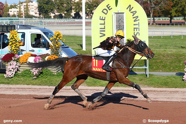 10/11/2021 - Nantes - Prix Miss France 2021 / Rfm : Arrivée