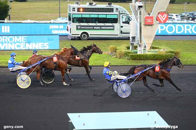 11/12/2021 - Vincennes - Prix Narquois : Arrivée