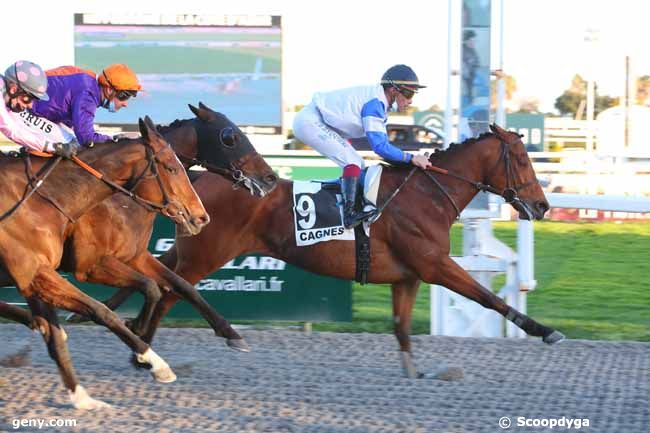 26/02/2022 - Cagnes-sur-Mer - Prix du Vaucluse : Arrivée