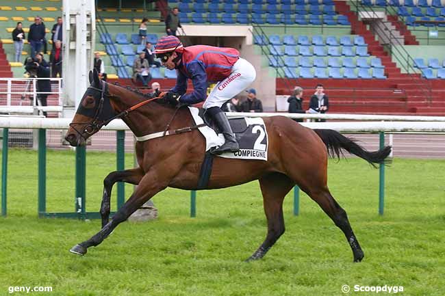 15/05/2023 - Compiègne - Prix du Grand Maitre : Arrivée