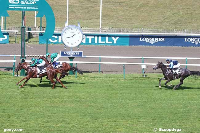 09/09/2023 - Chantilly - Prix des Aigles : Arrivée