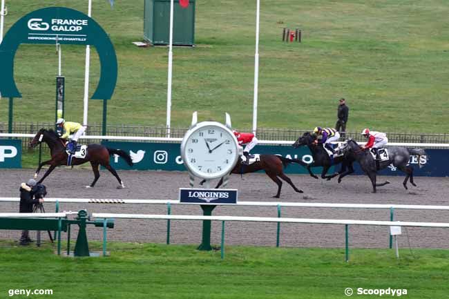 23/11/2023 - Chantilly - Prix de la Boucle d'En Haut : Result