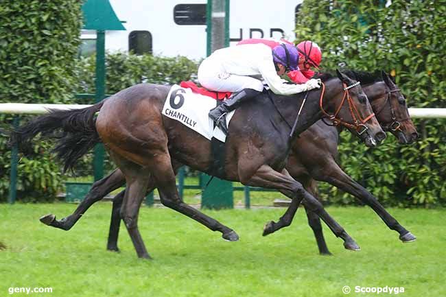 02/05/2024 - Chantilly - Prix de la Francilienne : Arrivée