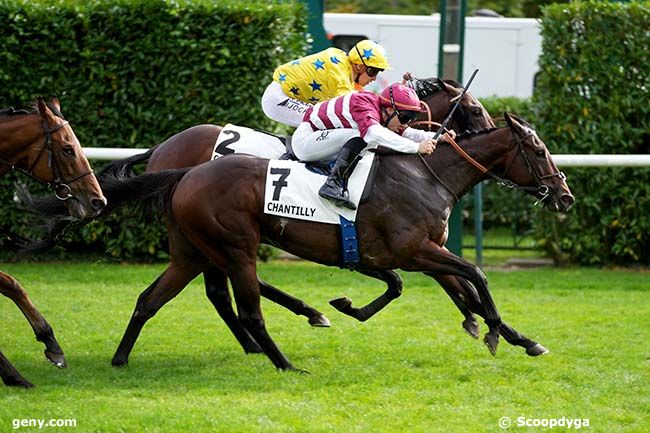 03/10/2024 - Chantilly - Prix de Bonneval : Ankunft