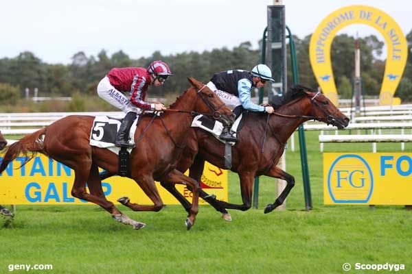 08/10/2024 - Fontainebleau - Prix des Myosotis : Arrivée