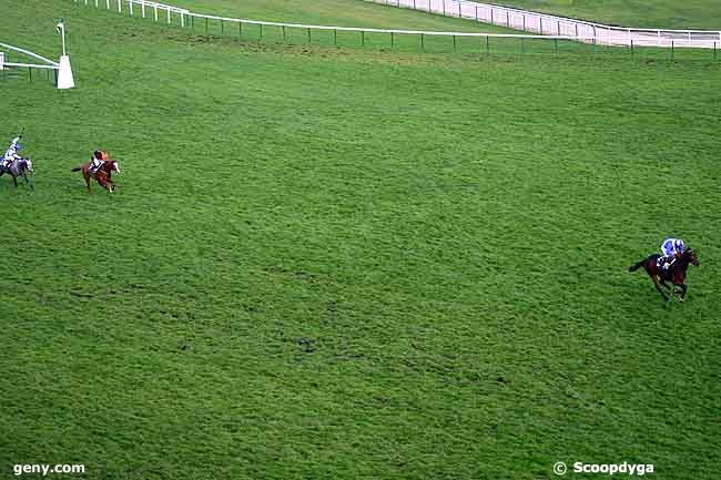 12/11/2009 - Auteuil - Prix du Champ de Mars : Ankunft