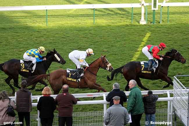 15/11/2010 - Compiègne - Prix des Neuf Fontaines : Ankunft