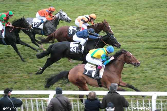 29/11/2011 - Fontainebleau - Prix de la Ligue Française Pour la Protection du Cheval : Ankunft