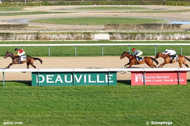 13/01/2014 - Deauville - Prix de la Beauvoisinière : Arrivée