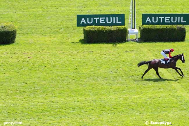 14/06/2017 - Auteuil - Prix Xavier de Chevigny : Arrivée