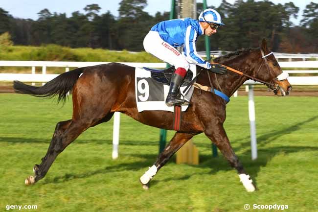 28/11/2017 - Fontainebleau - Grand Steeple-Chase de la Solle : Arrivée