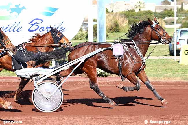 27/03/2019 - Marseille-Borély - Prix du Château d'If - St Michel de Marse : Arrivée