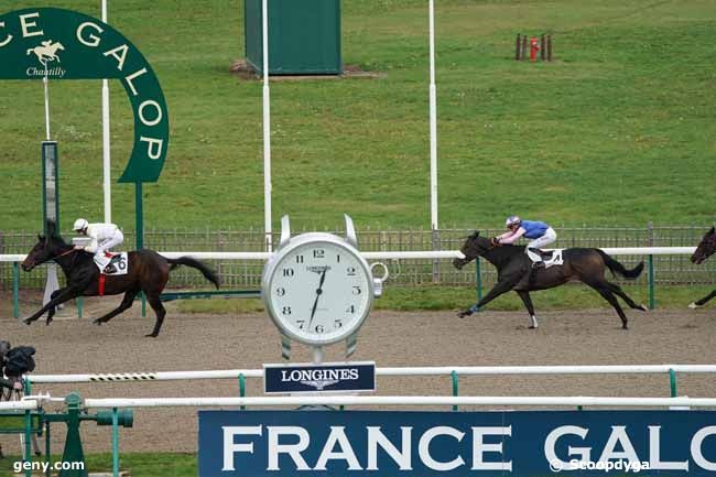 06/11/2019 - Chantilly - Prix de l'Embarcadère : Result