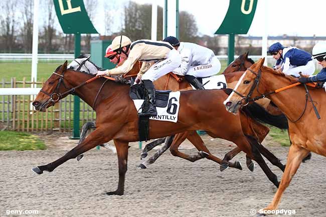 13/03/2020 - Chantilly - Prix du Soissonnais : Arrivée