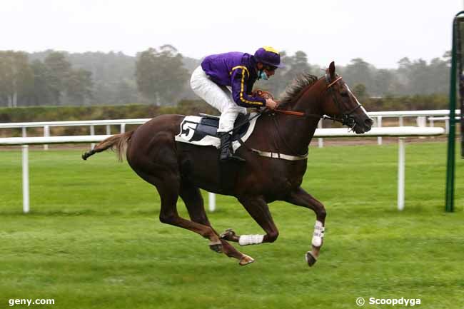 13/10/2020 - Fontainebleau - Prix de l'Ecole Militaire d'Equitation : Arrivée