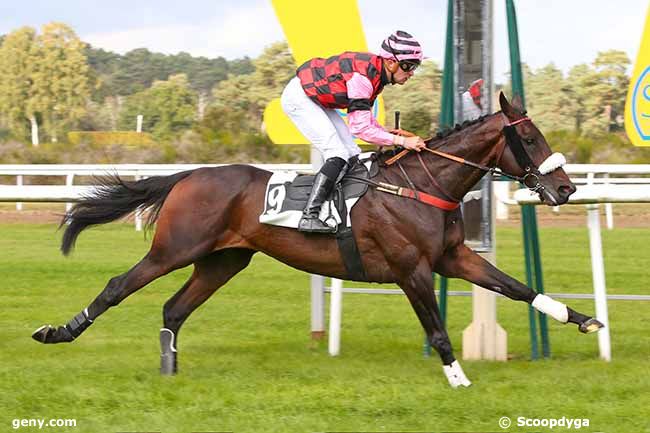 12/10/2021 - Fontainebleau - Prix du Grand Parquet : Arrivée