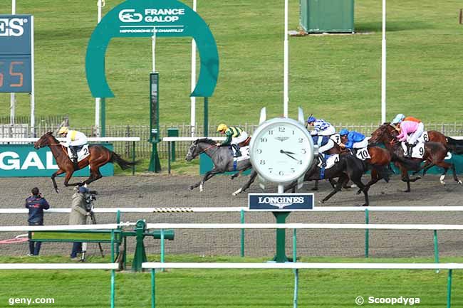 27/10/2023 - Chantilly - Prix de la Rue d'Aumale : Arrivée