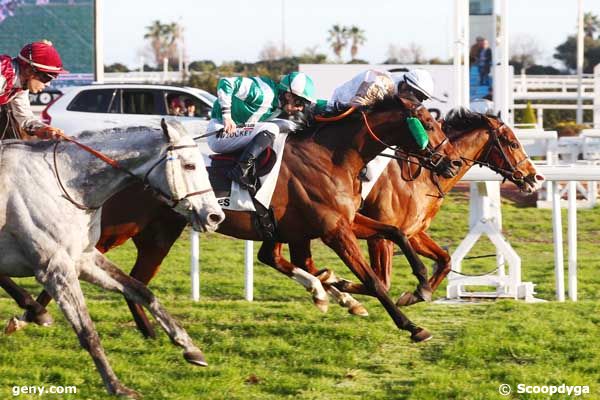 23/01/2024 - Cagnes-sur-Mer - Prix de la Canebière : Arrivée