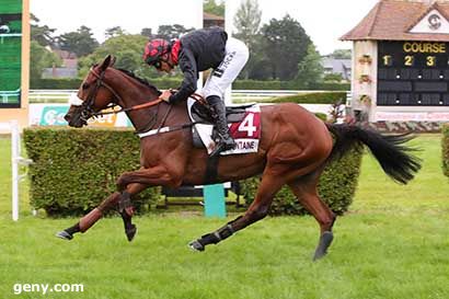 18/06/2024 - Clairefontaine-Deauville - Prix le Déjeuner sur l'Herbe By Traybon : Arrivée