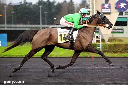 31/12/2024 - Vincennes - Prix de Lannilis : Arrivée