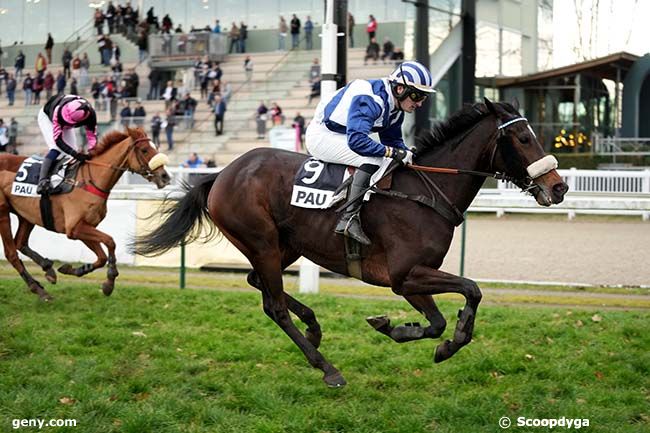 08/01/2025 - Pau - Prix Etalon Chamako- Coupe des AA- Grande Course de Haies des 4 ans : Ankunft