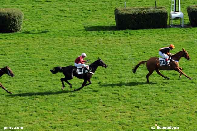 18/10/2008 - Auteuil - Prix Montgomery : Ankunft