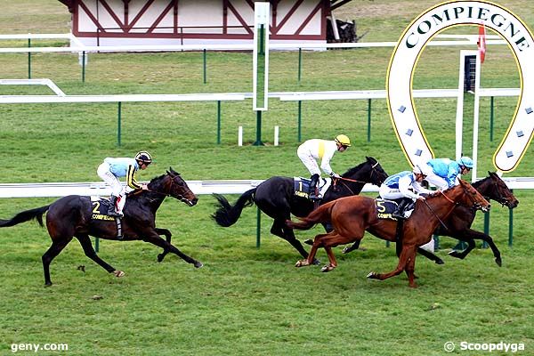 14/03/2011 - Compiègne - Prix de Verberie : Arrivée