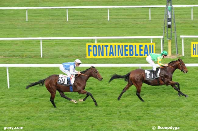 18/10/2012 - Fontainebleau - Prix de la Porte Nadon : Arrivée