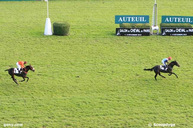 03/11/2012 - Auteuil - Prix Bournosienne : Ankunft